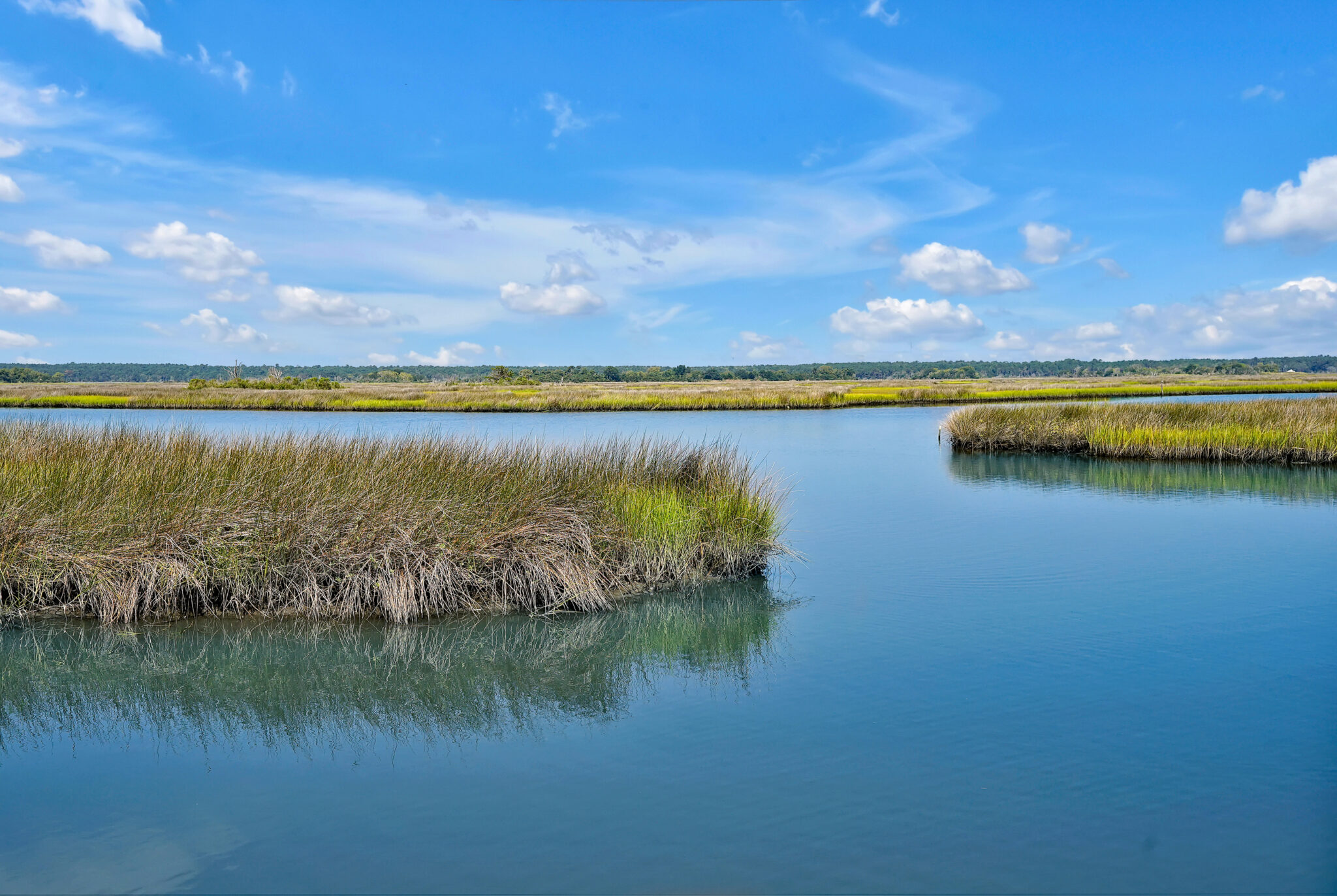 Book Now 225makepeacestreet 106