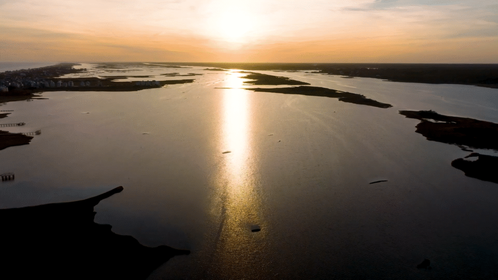 Explore 2d48c7a2 1e45 4dd5 b8a1 21e87385c169